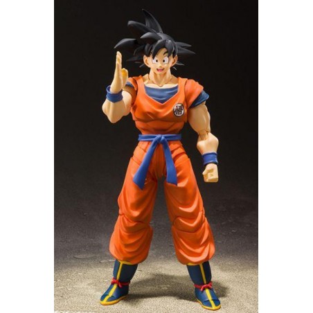 S.H.Figuarts - Son Goku (Saiyan Raised on Earth) - Dragon Ball Z