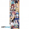 Poster de porte - Personnages - Fairy Tail - Roulé et filmé