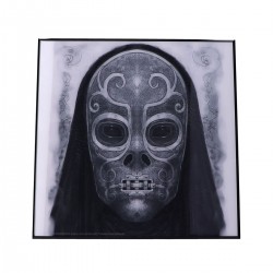 Cadre - Harry Potter - Death Eater Mask