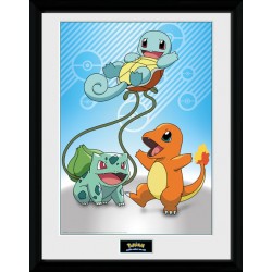 Cadre - Starters Kanto -...