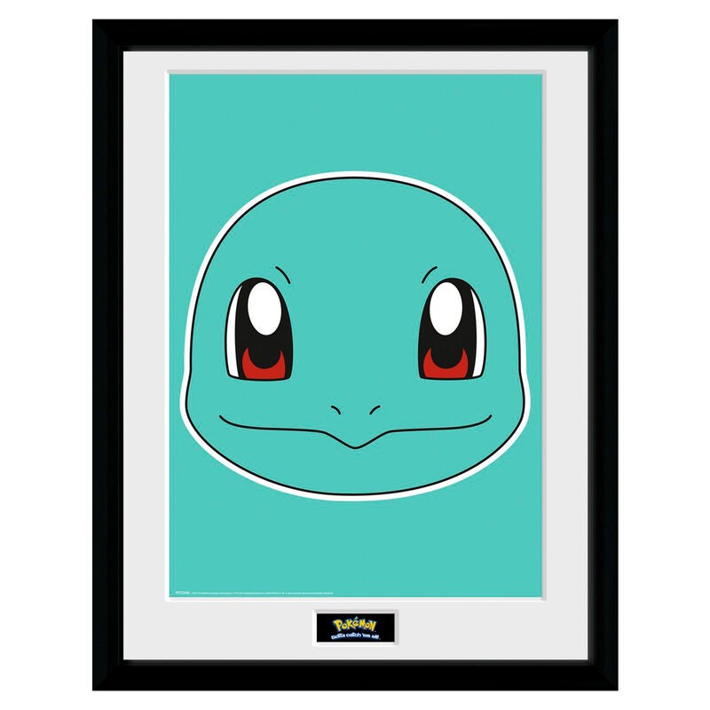 Cadre - Pokemon - Squirtle Face