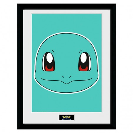 Cadre - Pokemon - Squirtle Face