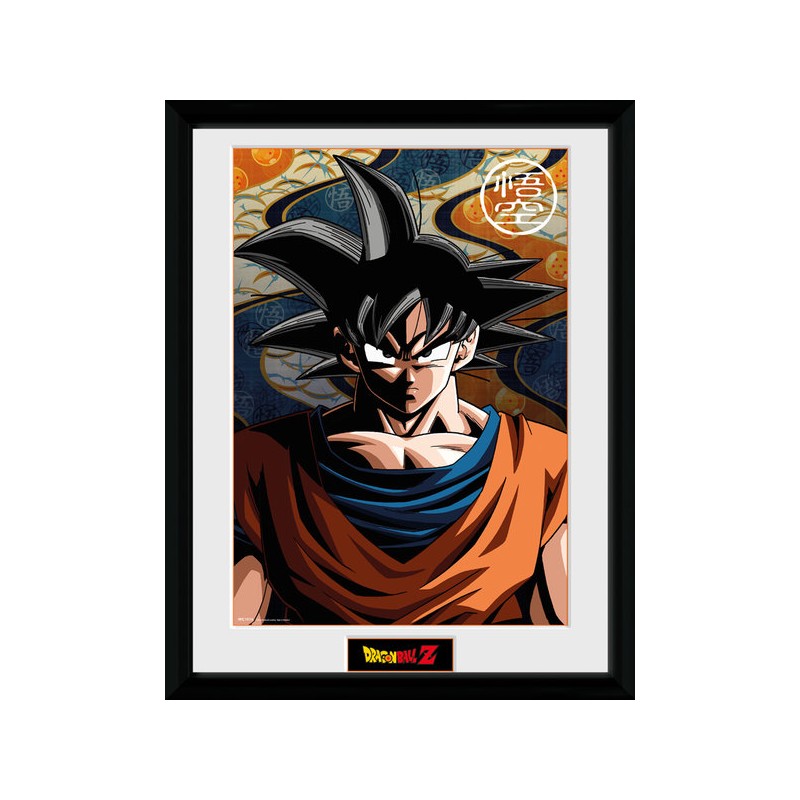 Cadre - Goku - Dragon Ball Z