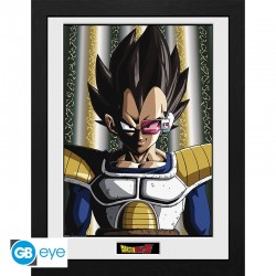 Cadre - Vegeta - Dragon Ball Z