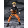 S.H.Figuarts - Naruto - Naruto Shippuden