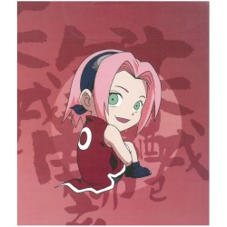 Album Photo - Naruto - Sakura - 48 Photos