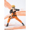 S.H.Figuart - Naruto Uzumaki - Naruto - Narutop99