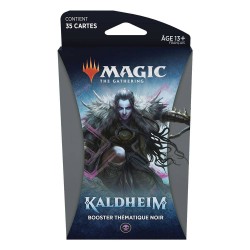 MTG - Theme Booster - Kaldheim - (x12 boosters) - FR