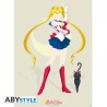 Poster - Sailor Moon et Luna - Sailor Moon